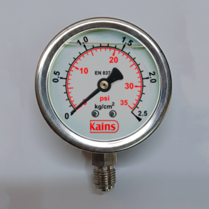Economical pressure gauge G10202D61G022110