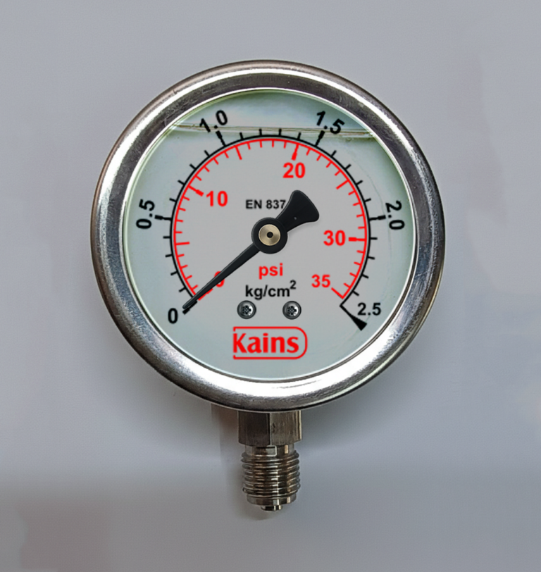 Economical pressure gauge G10202D61G022110