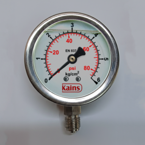 Economical pressure gauge G10202D61G022118